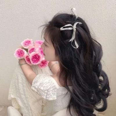 我洒顽皮豹